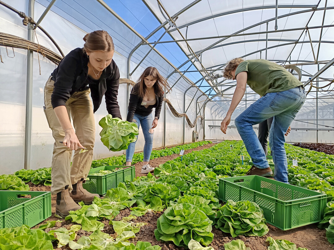 Azubitag an der Staatliche Lehr- und Versuchsanstalt f�r Gartenbau (LVG) Heidelberg. 