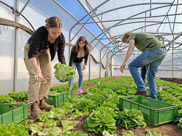 Azubitag an der Staatliche Lehr- und Versuchsanstalt für Gartenbau (LVG) Heidelberg.