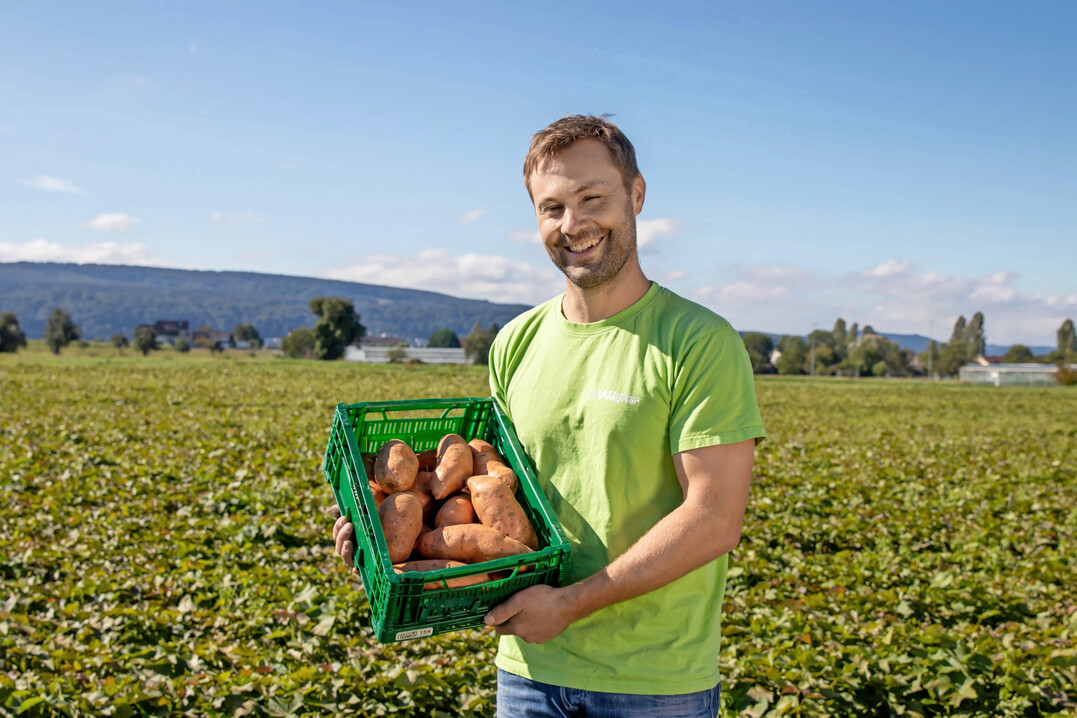 Eine Kultur im Aufwind bei den Reichenauern ist die Süßkartoffel, präsentiert vom Genossenschaftsmitglied Benjamin Wagner. 3000 Tonnen wurden letztes Jahr geerntet.