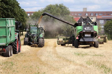 Die deutsche Gerstenernte gl�nzt dieses Jahr mit guten Ertr�gen. Wo es allerdings zu wenig geregnet hat, bleiben die Ertr�ge gedr�ckt. 