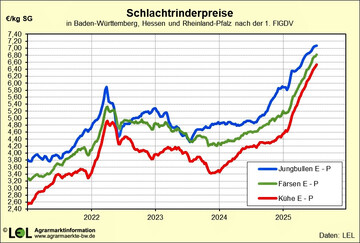 Der fulminante Preisanstieg in den vergangenen Monaten k�nnte in diesen Tagen seinen H�hepunkt erreichen. 