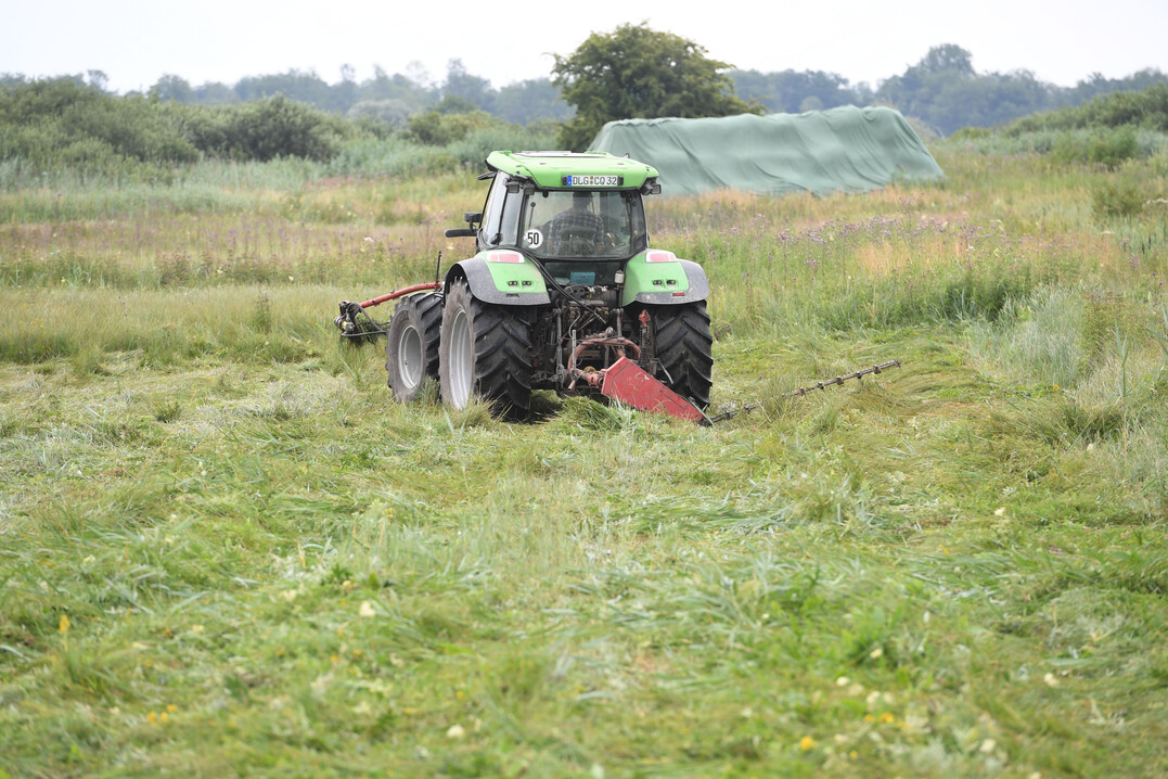Die Bewirtschaftung nasser Wiesen und Weidefl�chen bedeutet einen gr��eren Arbeits- und Technikaufwand.