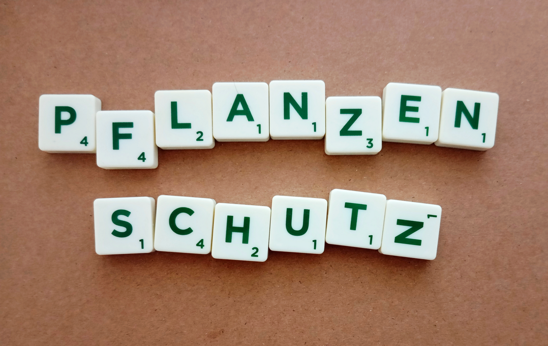 Welche finanziellen Auswirkungen eine Fungizidresistenz f�r Landwirte haben kann, l�sst sich nun mittels eines mathematischen Modells errechnen.