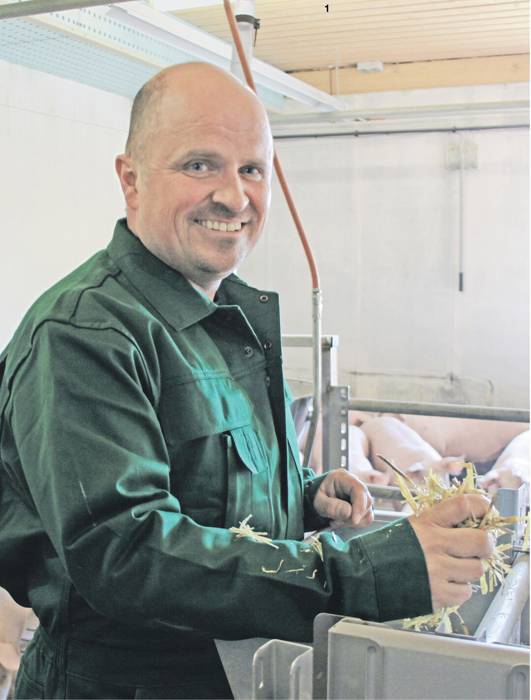 �Seit wir die Strohraufen in den Buchten installiert haben, gibt es kaum noch Probleme mit Schweinen, die sich gegenseitig verletzen. Die haben jetzt etwas zu tun", sagt und freut sich Michael Reber.