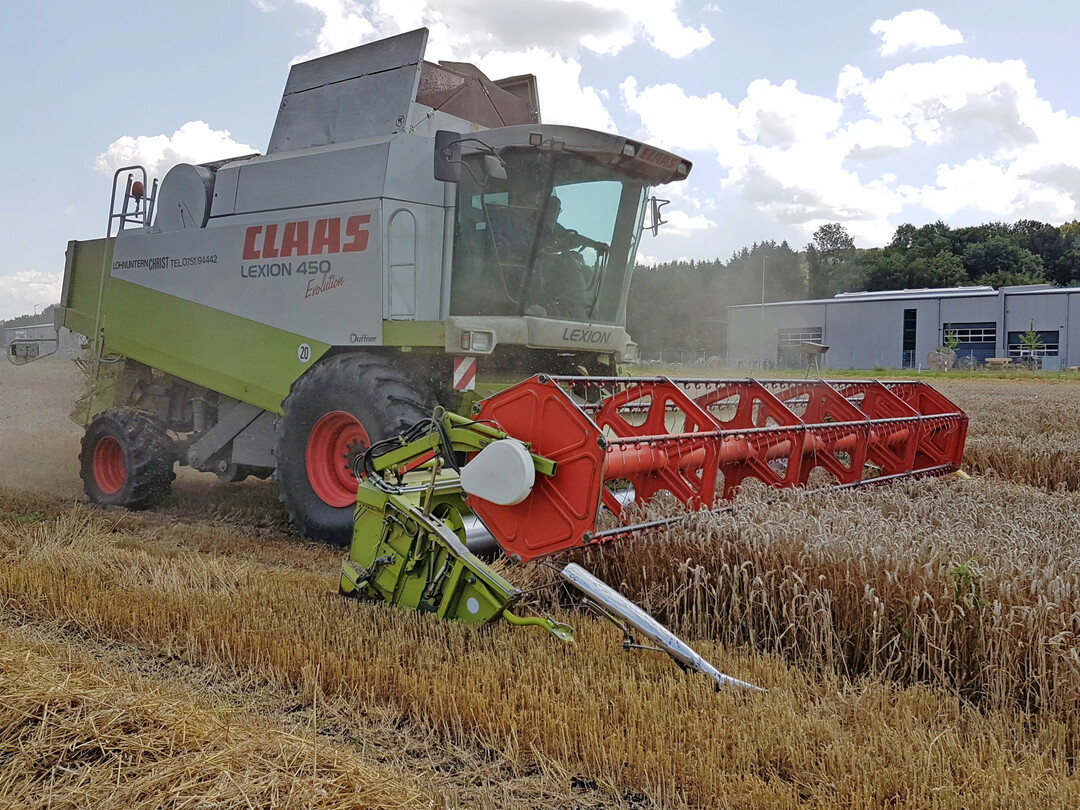 Weizenproduktion auf Rekordniveau: Die weltweiten Lagerbestände an Weizen werden zum Ende der Saison voraussichtlich zum dritten Mal in Folge zurückgehen und mit 264,7 Millionen Tonnen den niedrigsten Stand seit sieben Jahren erreichen.