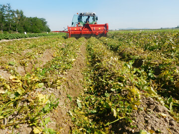 Krautschl�ger im Einsatz.