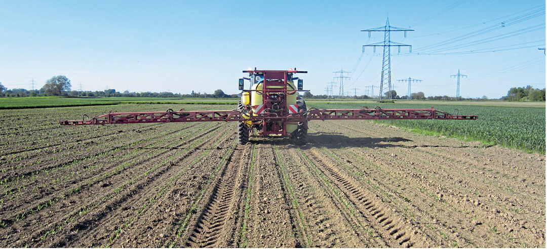 Pflanzenschutz im Mais. Damit die Anwendung Erfolg hat, m�ssen Witterung und Temperatur passen.
