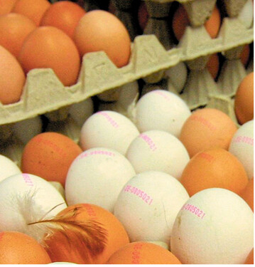 Die L�cke im deutschen Eiermarkt zwischen Angebot und Nachfrage schrumpft und der Selbstversorgungsgrad w�chst.