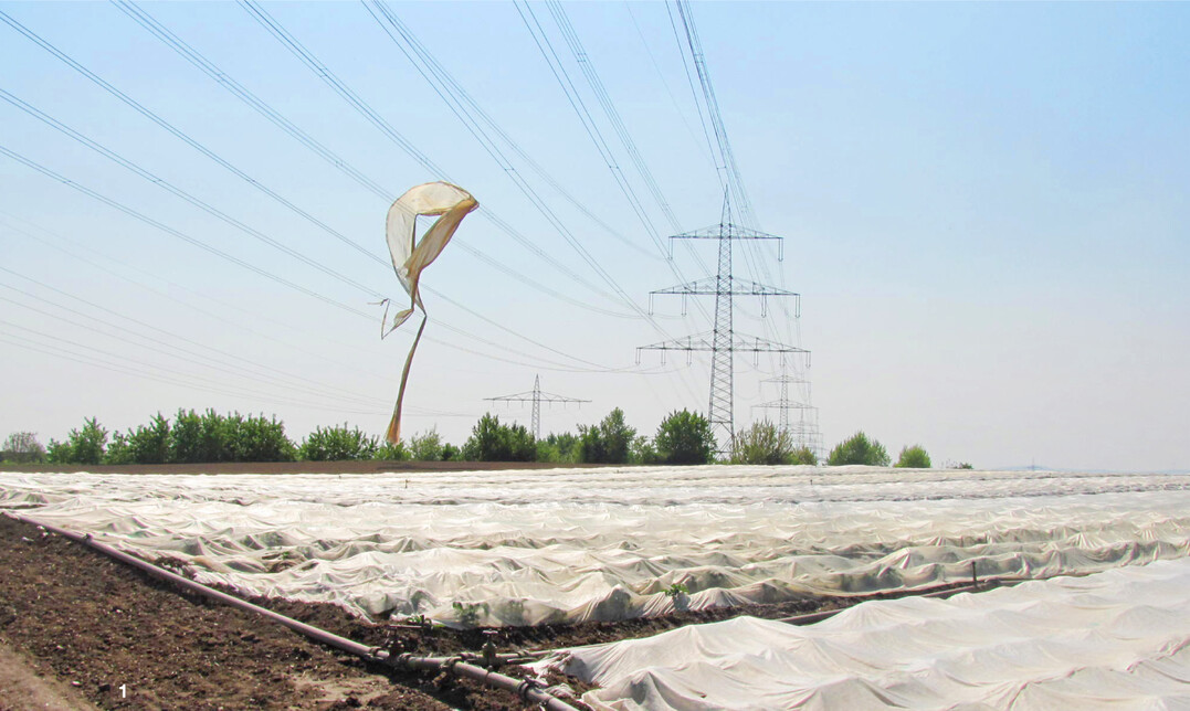 Folien in Stromleitungen sorgen regelm��ig f�r Stromausf�lle und k�nnen f�r Mitarbeiter lebensgef�hrlich werden beim Versuch, sie herunterzuholen.