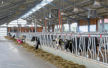 Ventilatoren sollten bereits ab 20 Grad Stalltemperatur mit einer automatischen Steuerung unterstützend eingesetzt werden.