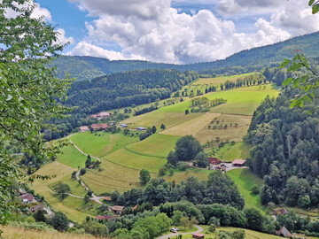 Unterwegs auf dem Obstbrennerweg im Schwarzwald.