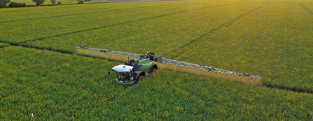 In einer Versuchsvariante wurde in der abgehenden Bl�te behandelt.