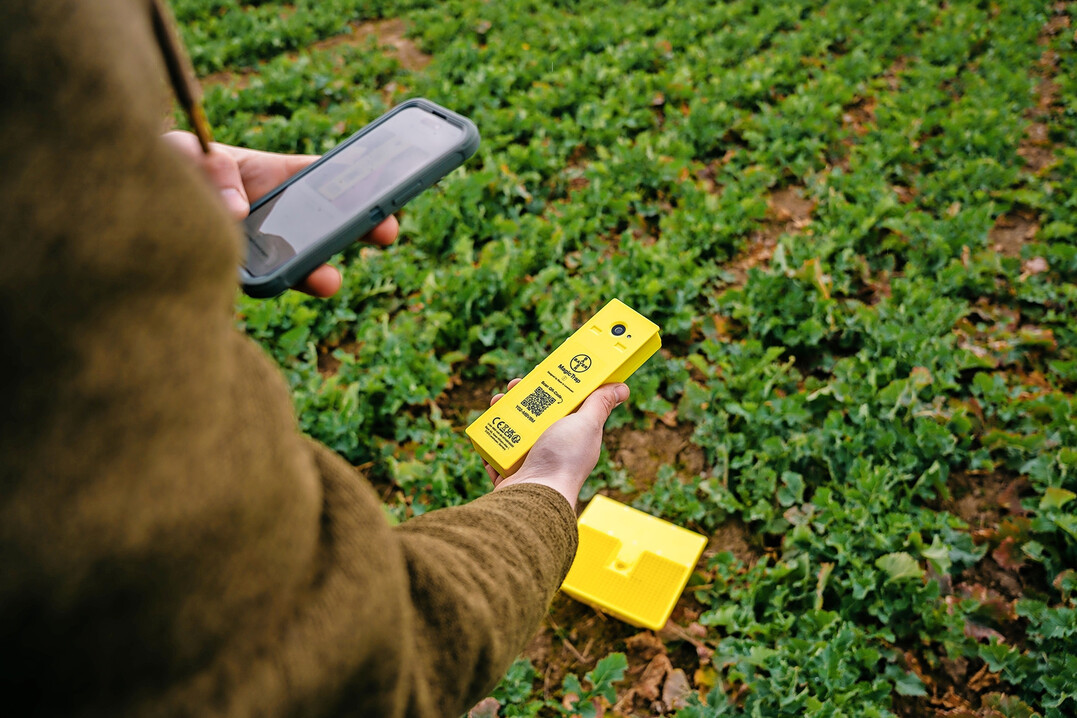 Die neue digitale Gelbschale hat eine bessere Kamera.