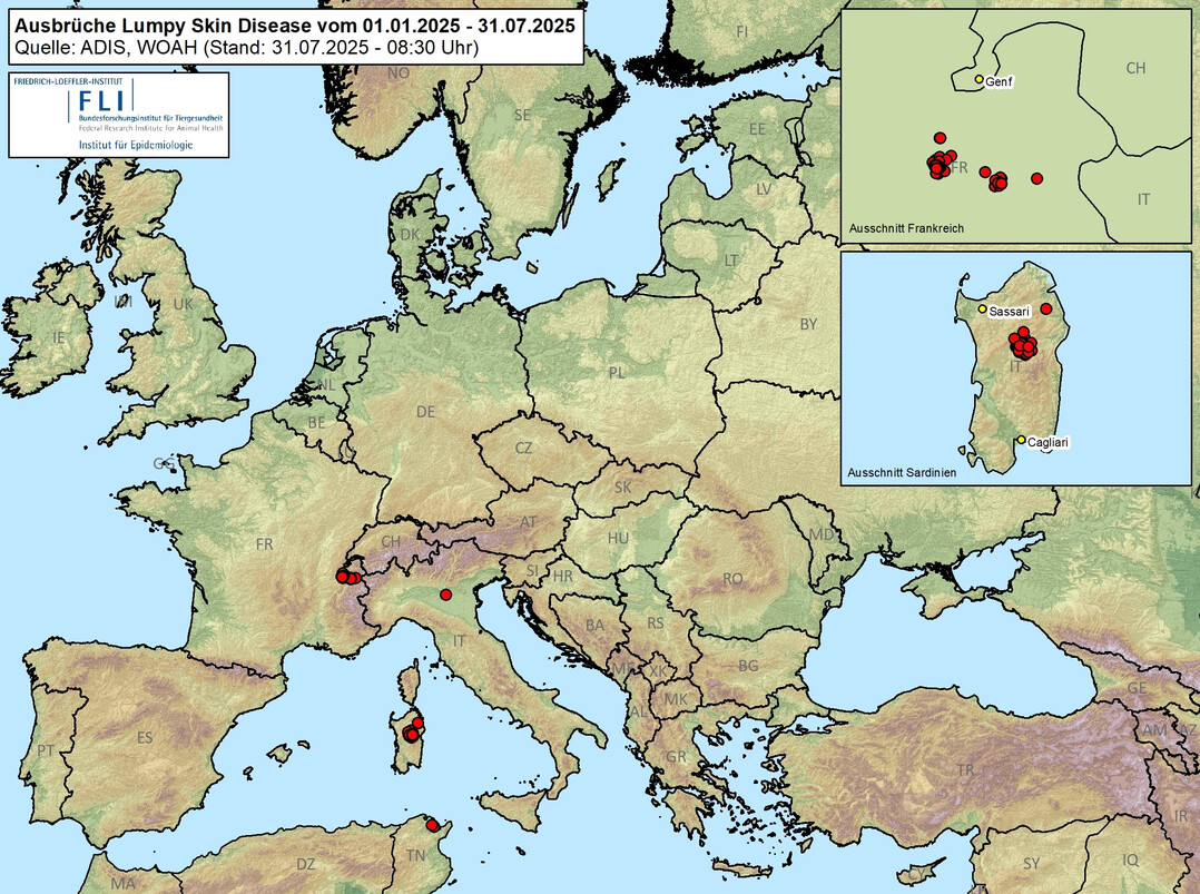 1 Die Rinderseuche breitet sich aus. Das zeigen die vom Friedrich-Loeffler-Institut erfassten Ausbr�che von Lumpy Skin Disease vom 1. Januar 2025 bis 24. Juli 2025.