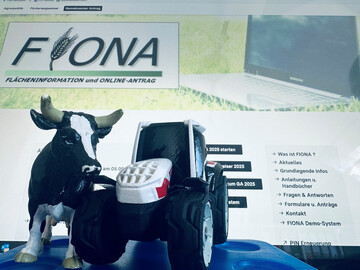 Oberfläche FIONA.