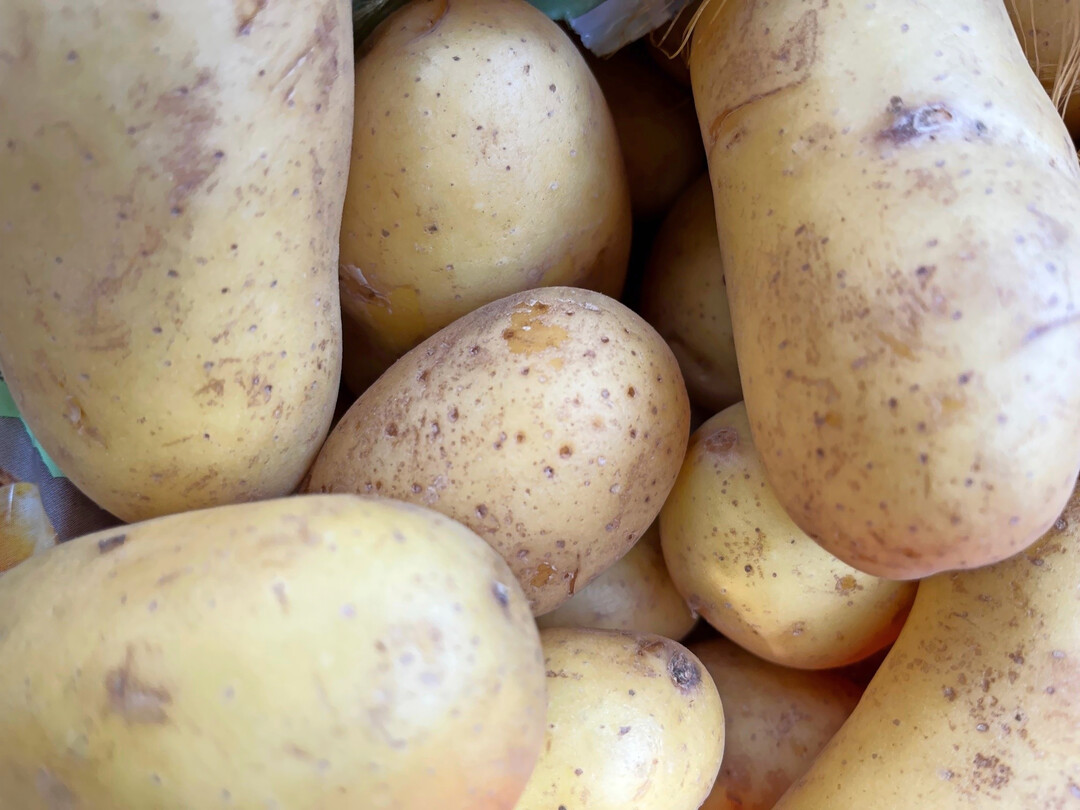 Ruhiger Kartoffelmarkt in Holland: Aufgrund des Stillstands am Markt wurden an den niederl�ndischen B�rsen zuletzt keine Kartoffeln notiert.