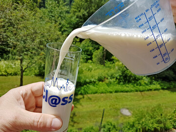 Mit einem Erzeugerpreis von 53,3 Cent pro kg Milch im bundesweiten Schnitt erhielten die Milchviehbetriebe im Juni 2025 rund 7,7 Cent je Kilogramm mehr als zwölf Monate zuvor.