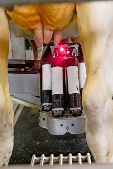 Die neue Generation Melkroboter von Lely ist der Astronaut A5?Next.