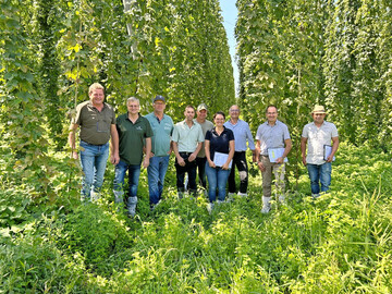 Mit einer leicht unterdurchschnittlichen Hopfenernte f�r das Tettnanger Anbaugebiet rechnet die Sch�tzkommission mit (v. l.) Johann Braun (Vetreter des Hopfenhandels Firma BarthHaas), Elmar Marschall (Vetreter des Hopfenhandels Firma BarthHaas), Wolfgang Ruther (Vorsitzender Hopfenpflanzerverband Tettnang), Florian Fritsch (Vertreter des Hopfenhandels Firma Hopsteiner), Bernhard Bentele (2. Stellvertretender Vorsitzender Hopfenpflanzerverband Tettnang), Teresa Locher (Gesch�ftsf�hrerin Hopfenpflanzerverband Tettnang), Andreas Schwarz (Vertreter Baden-W�rttembergischer Brauerbund), Walter K�nig (Gesch�ftsf�hrer Bayerischer Brauerbund) und Gabriel Bader ( Landwirtschaftsamt Friedrichshafen).
