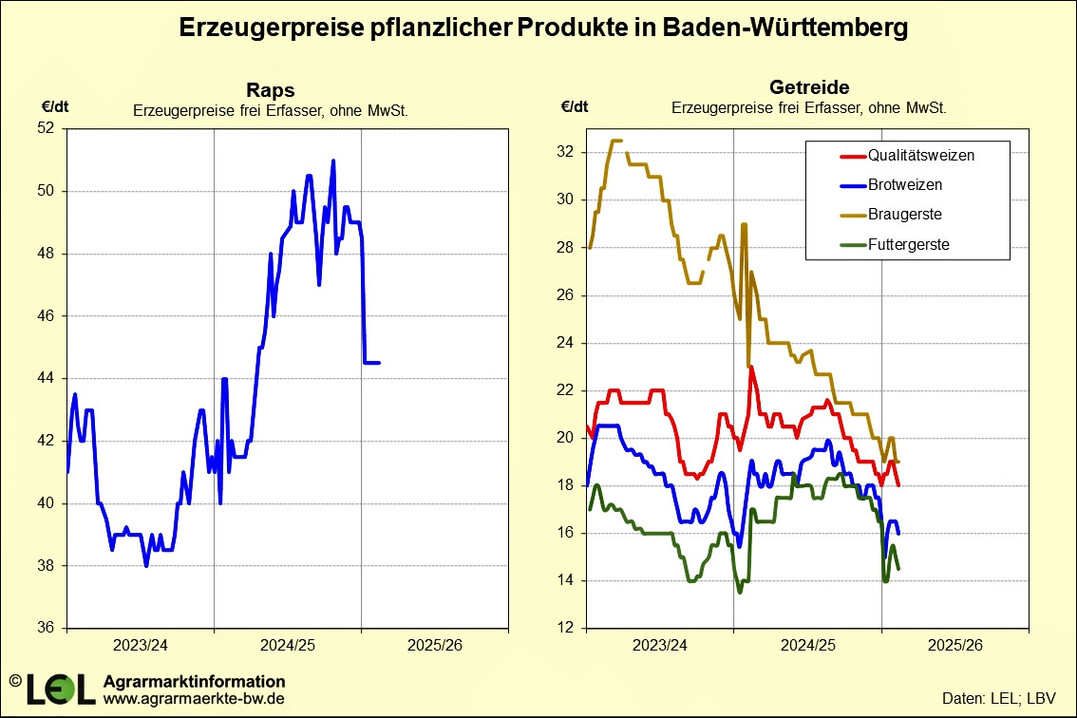 Der Druck auf die Preise ist hoch: Beim Weizen wirken sich der starke Euro und die guten Ernten weltweit aus.