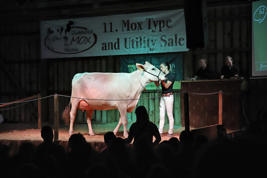 Topseller: Diese Zweikalbskuh der Rasse Brown Swiss, eine Bender-Tochter, von der Stockingen Dairy GbR aus Halblech wechselte in einen Zuchtbetrieb nach Bayern.