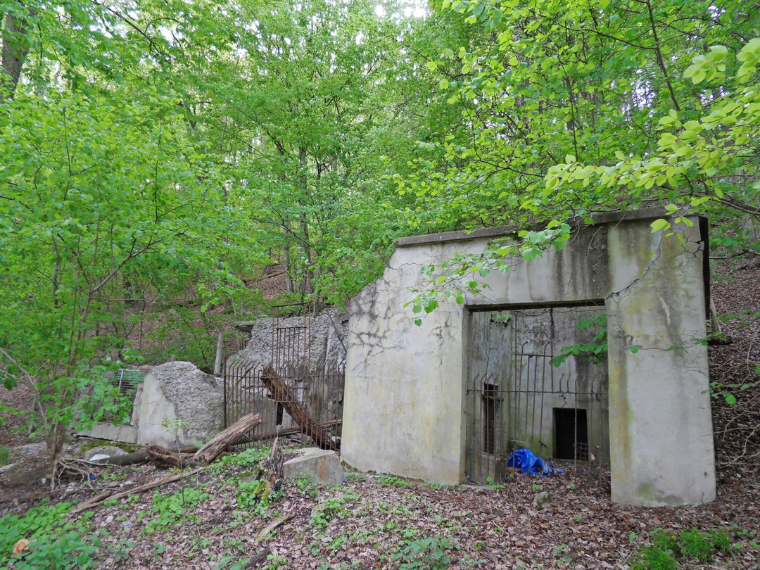 <b>Sonderpreis "Kleindenkmale":</b>
 In Ihrer, auch f�r Nichtfachleute spannend zu lesenden arch�ologischen Masterarbeit hat Helen Kapeller aus T�bingen mit dem Zoologischen Garten am T�binger Spitzberg ein recht ungew�hnliches Relikt einer historischen Landnutzung anhand von  recherchierten Daten und der im Gel�nde vorhandenen baulichen und gestalterischen Reste digital rekonstruiert und sich mit den zeitgeschichtlichen Bez�gen auseinandergesetzt. In der Zeit seiner Existenz zu Beginn des 20. Jh. als �T�bingens gr��te Sehensw�rdigkeit� angesehen, ist der �T�binger Tiergarten� heute nahezu vollst�ndig aus dem �ffentlichen Bewusstsein verschwunden.