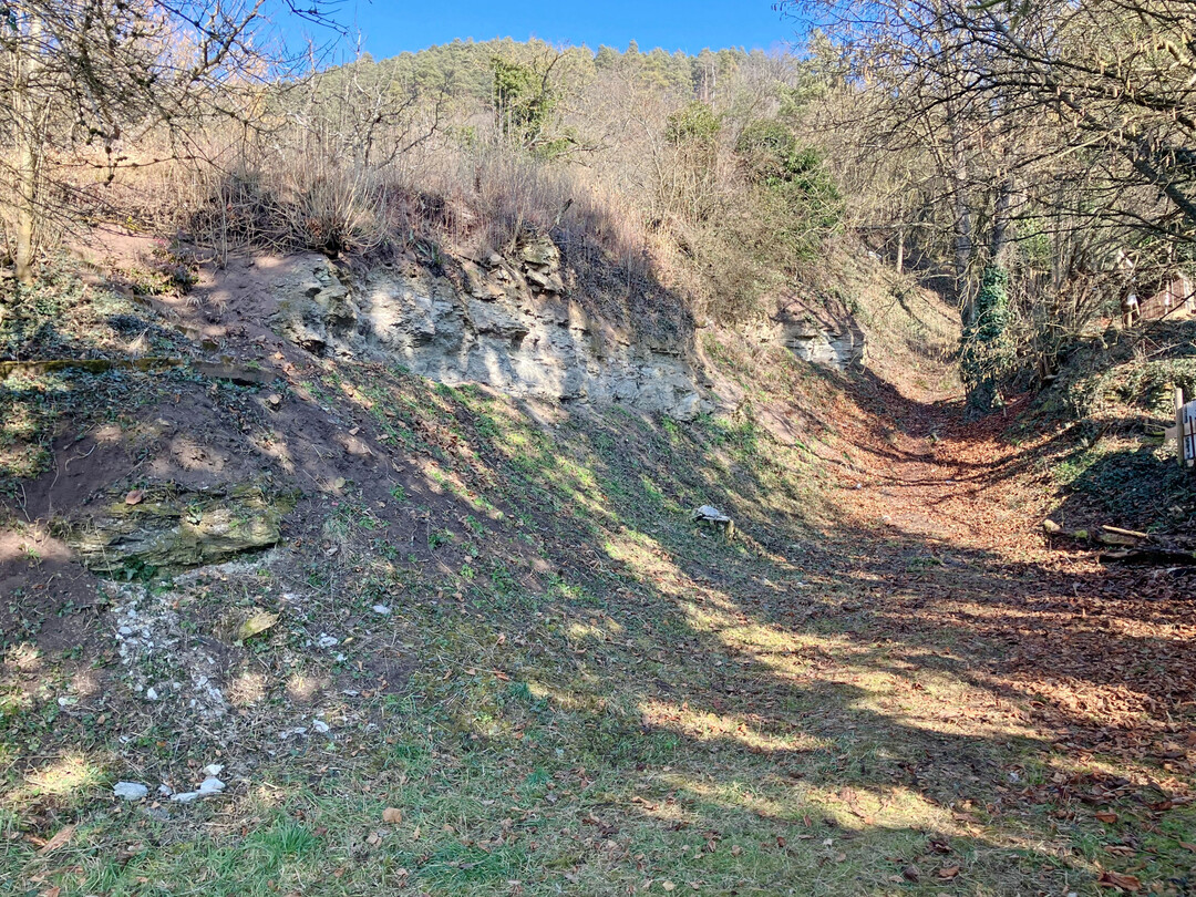 Die Gr�ne Liste Hirschau pflegt Hohlwege.