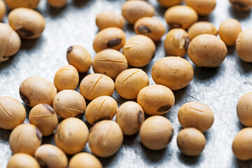 Die Preise f�r H�lsenfr�chte sind gefallen. Mangels h�herer Preise lagern Landwirte die Ernte zun�chst ein. 