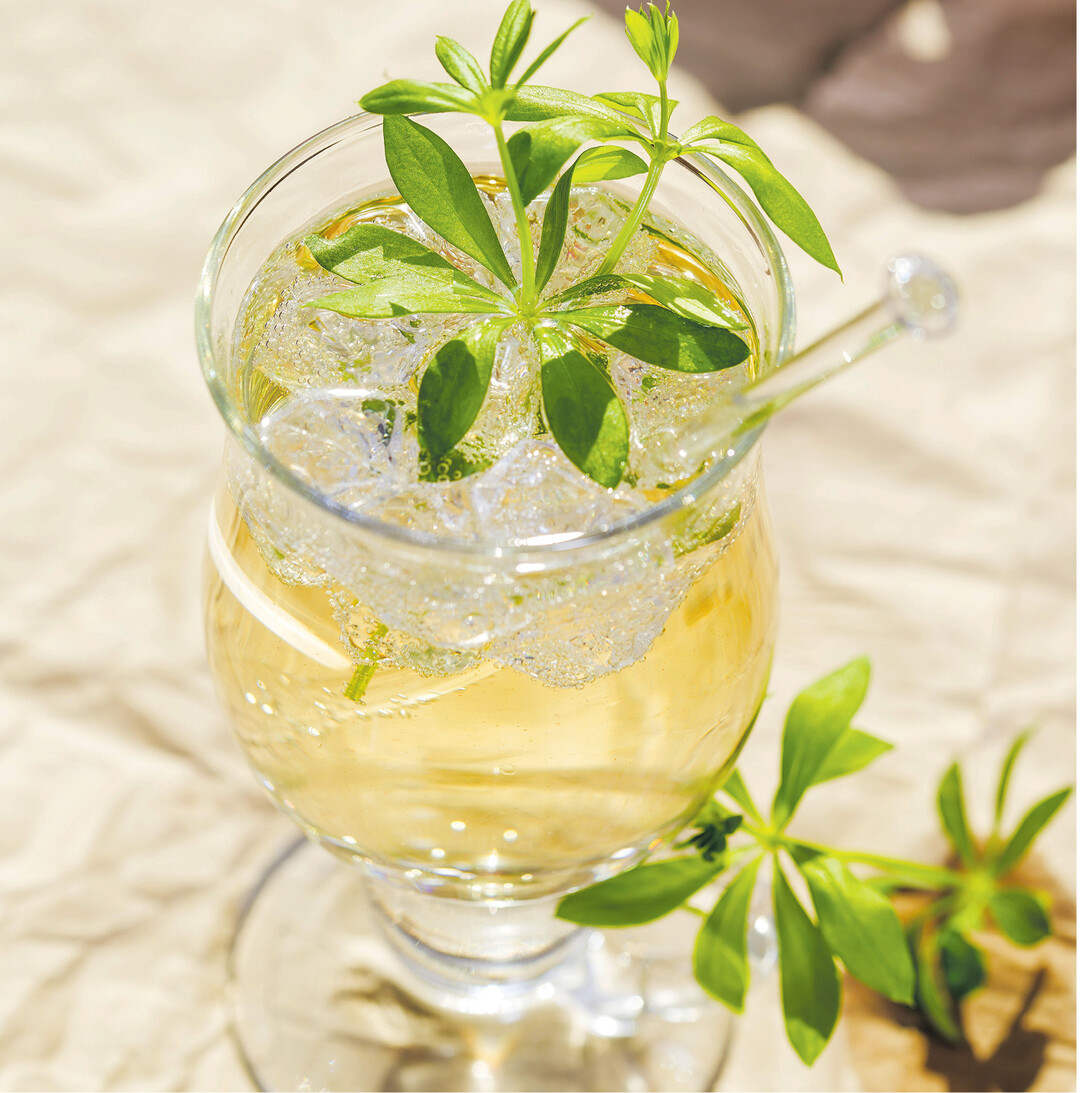 Eine Maibowle darf am 1. Mai nicht fehlen. Dazu werden klassischerweise trockener Wei�wein, (halbtrockener) Sekt und ein Bund Waldmeister ben�tigt. Die St�ngel sollten vorher mehrere Stunden anwelken, damit der Waldmeister sein Aroma � das Cumarin � voll entfaltet. Er wird "kopf�ber" in den Wein geh�ngt, sodass die Stiele drau�en bleiben. So wird die Bowle nicht bitter. Nach 30 Minuten sollten die St�ngel wieder entfernt werden. Mit Sekt auff�llen und nach Geschmack Zitronenscheiben in die Bowle geben.