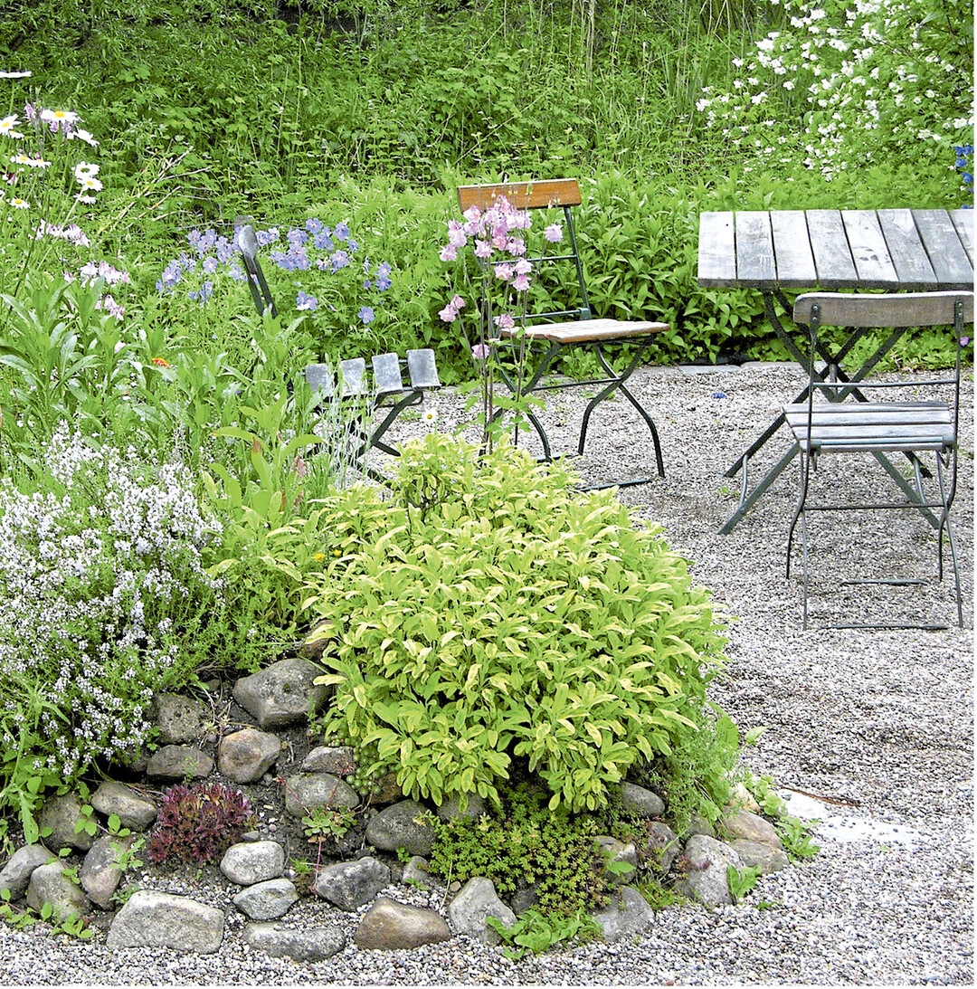Die Gew�rzkr�uter am Rande dieses Sitzplatzes sind dekorativ und verstr�men Duft. Auch bei Regenwetter sind sie sauberen Fu�es zug�nglich, wenn sie in der K�che ben�tigt werden.