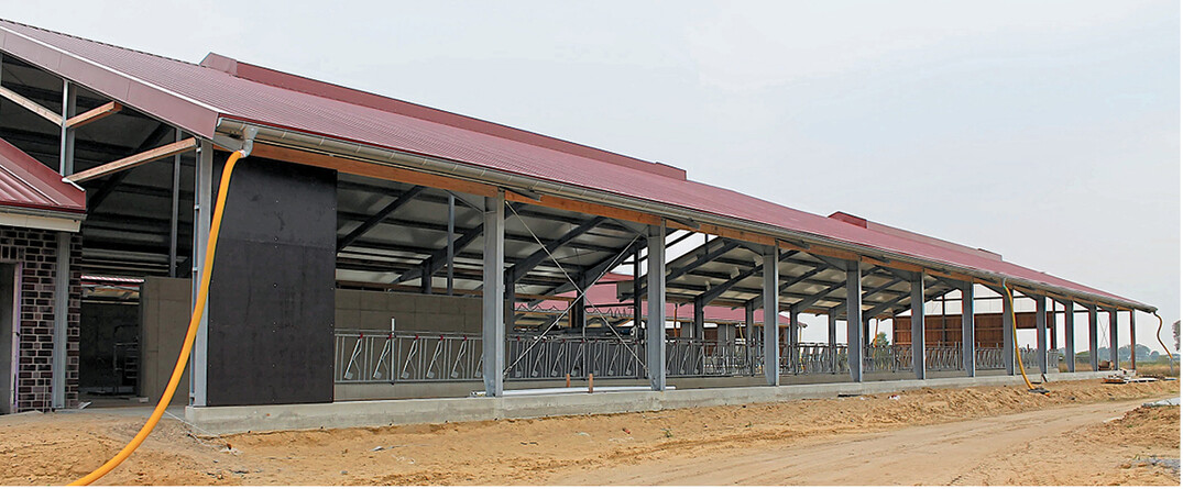 Bei diesem im Bau befindlichen Milchviehstall wurden Sandwich-Paneele als Dacheindeckung verwendet, damit die K�he im Sommer nicht noch zus�tzlich unter Oberhitze" leiden m�ssen. Man kann nat�rlich auch mit hellen D�chern viel erreichen, aber das ist bei gro�en, das Landschaftsbild pr�genden Geb�uden oft eine Frage der Genehmigung. In der Regel werden von den Genehmigungsbeh�rden rote oder erdfarbene T�ne bevorzugt.