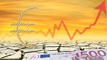 Die Menschheit isst mehr Getreide als produziert wird. Die Vorr�te schrumpfen. In vielen Regionen der Welt ist es zu trocken, das tr�bt die Ernteaussichten. Alles zusammen l�sst die Preise steigen.