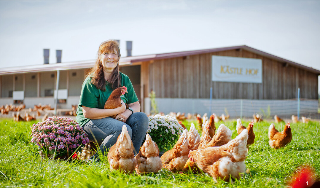 Auf dem K�stle-Hof werden Legehennen in zwei Freilandst�llen gehalten, die Junghennen zieht Helga K�stle selber auf.