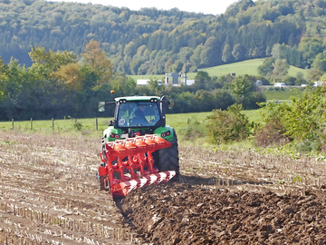 Das tiefe (25 cm) Unterpfl�gen von (gemulchten) Maisstoppeln stellt die beste vorbeugende Ma�nahme gegen den Maisz�nsler dar.