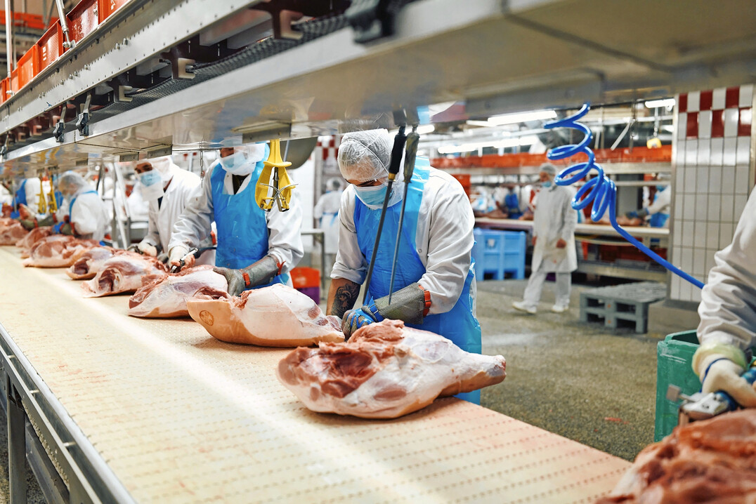 Produktion bei Deutschlands gr��tem Fleischvermarkter T�nnies. 