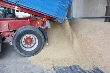 Agrarm�rkte: Die Preise f�r wie Getreide werden vornehmlich am Weltmarkt bestimmt.