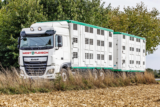 Westfleisch � Geht die Reise nach S�ddeutschland?