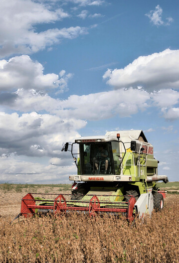 Beim Drusch von Sojabohnen gibt es einiges, worauf man achten sollte.
