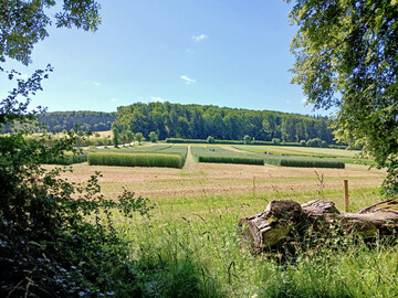 Die schw�chsten Fallzahlen verzeichnete unter anderem der Standort St. Johann (klassisches Sortiment Durchschnitt 202 Sekunden). 