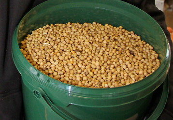 Tiernahrung ist g�nstiger geworden. Im Wirtschaftsjahr 2024/25 sanken die Preise f�r Rinder-, Schweine- und Gefl�gelfutter. 