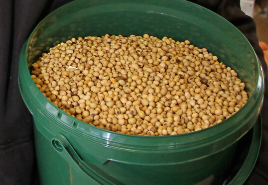 Tiernahrung ist g�nstiger geworden. Im Wirtschaftsjahr 2024/25 sanken die Preise f�r Rinder-, Schweine- und Gefl�gelfutter. 