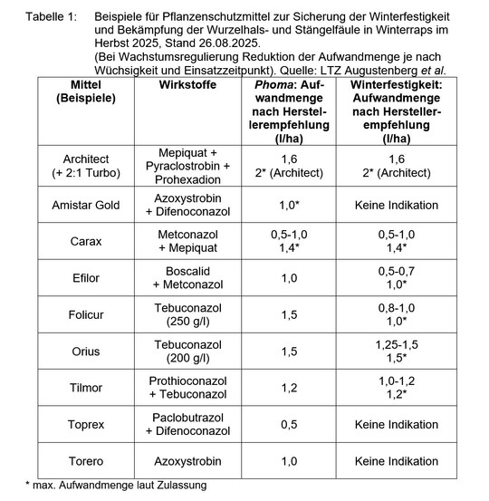 Beispiele f�r Pflanzenschutzmittel zur Sicherung der Winterfestigkeit und Bek�mpfung der Wurzelhals- und St�ngelf�ule in Winterraps im Herbst 2025, Stand 26.08.2025.
(Bei Wachstumsregulierung Reduktion der Aufwandmenge je nach W�chsigkeit und Einsatzzeitpunkt).