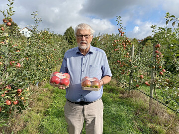 Professor Dr. Werner Dierend mit den neuen Apfelsorten, die unter der Dachmarke Pompur auf ab November auf den Markt kommen.