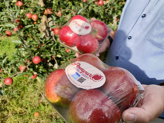 Um Verwechslungen mit anderen Apfelsorten zu vermeiden, sind die aller-gikerfreundlichen �pfel mit einer Plastikfolie gesch�tzt. Da ihre Vertr�glichkeit f�r Allergiker entscheidend ist, muss jede Vermischung ausgeschlossen werden.