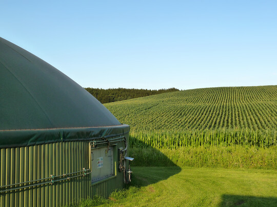 Laut BNetzA kann in der kommenden Oktoberausschreibung ein Volumen von 813 MW geboten werden. Gleichzeitig werden strengere Anforderungen an die Flexibilität von Biogasanlagen sowie ein neues Vergütungssystem eingeführt. Und: Für Anlagen, die in den Jahren 2004 und 2005 erstmals ans Netz gingen, sind Übergangsregelung gefragt. Viele dieser Anlagen dürften keine Chance mehr haben, die Anforderungen des neuen EEG rechtzeitig zu erfüllen.