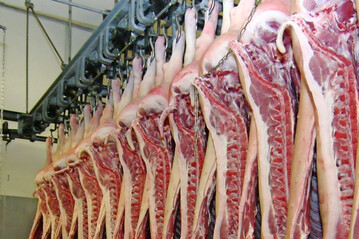 China l�sst gr��en: Viele EU-Schweinehalter bekommen weniger Geld f�r ihre Schlachttiere.