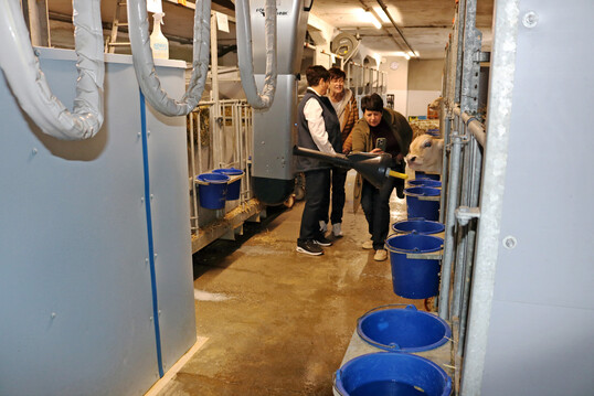 Tr�nke-Automat: Eine Besonderheit im Milchviehstall der Familie Dorn-Bohner ist die automatisierte K�lberf�tterung. Alle drei Stunden f�hrt der Roboterarm vor die Boxen und l�sst die K�lber trinken, verf�ttert wird eine Mischung aus eigener Milch und Milchpulver, je nach Bedarf unterschiedlich gemischt.