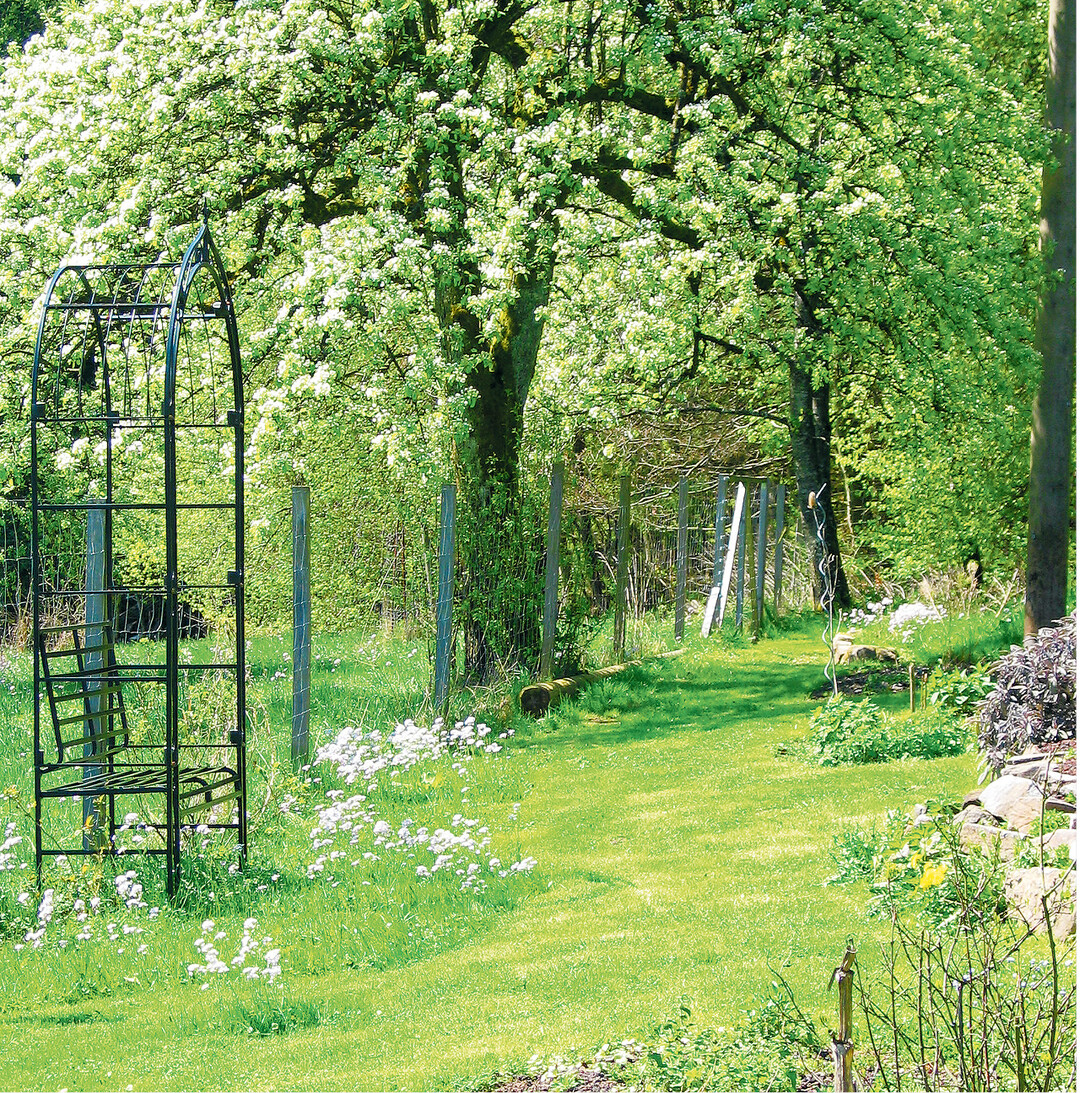 Am Muttertag, 12. Mai, l�dt das Kr�uterzentrum Wasenhof in Gro�erlach ab 10 Uhr (Betriebsf�hrung) zum Tag der offenen T�r ein, zum Schauen, St�bern und Einkaufen von Kr�uterprodukten und Pflanzen. Um 13.30 und um 16.30 Uhr gibt es Kr�uterf�hrungen mit Inhaberin Christine Pommerer. Dazwischen eine Mitmachaktion zur Salbenk�che, Wasenhofkino und weitere Aktionen.