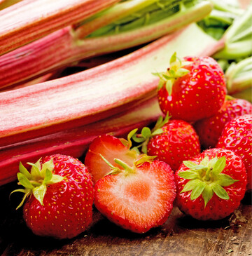 Perfektes Duo: Erdbeeren und Rhabarber Die s��-aromatische Erdbeere und der fein-s�uerliche Rhabarber passen perfekt zusammen. Da die fruchtigen Fr�hlingsboten nahezu gleichzeitig Saison haben, lassen sie sich in zahlreichen Speisen wie Kompott, Fruchtaufstrich, Backwaren oder Crumble gut kombinieren. Ein Klassiker der deutschen K�che ist Rhabarberkompott. Daf�r die geputzten Stangen in mundgerechte St�cke schneiden, in einer Sch�ssel mit etwas Zucker vermengen und eine halbe Stunde ziehen lassen. Dann das Gem�se einige Minuten k�cheln, bis etwas Saft entstanden ist. Den Saft auffangen und mit Vanillemark sowie anger�hrter St�rke vermengen. Alles mit den Rhabarberst�cken wenige Minuten einkochen, vom Herd nehmen und die Erdbeeren unterheben. Wer mag, kann noch Gew�rze und Kr�uter wie Nelken, Zimt, frische Zitronenmelisse oder Thymian hinzuf�gen. Das fruchtig-s��e Kompott schmeckt pur, im Kuchen, zu Waffeln und Milchreis, mit Panna cotta oder einer Kugel Vanilleeis. Es ist auch die Basis f�r einen knusprigen Crumble. F�r die Streusel werden Mehl, Haferflocken, gehackte Mandeln und Zitronenabrieb vermengt und mit Butter sowie Zucker verknetet. Das fertige Kompott in eine flache Auflaufform geben, die Streusel darauf verteilen und im Ofen goldbraun backen. BZfE, Heike Kreutz