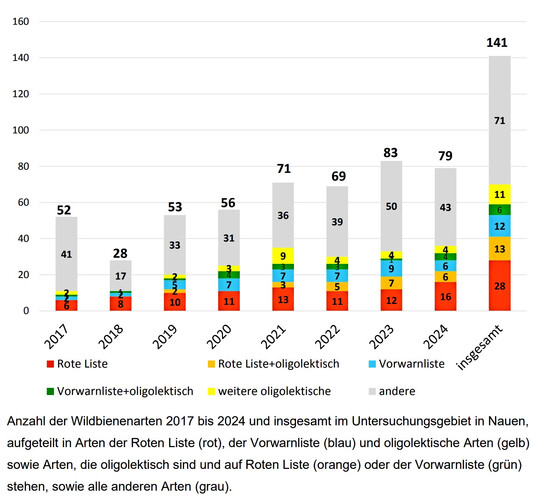 Anzahl der Wildbienenarten 2017 bis 2024 und insgesamt im Untersuchungsgebiet in Nauen,
aufgeteilt in Arten der Roten Liste (rot), der Vorwarnliste (blau) und oligolektische Arten (gelb)
sowie Arten, die oligolektisch sind und auf Roten Liste (orange) oder der Vorwarnliste (gr�n)
stehen, sowie alle anderen Arten (grau).